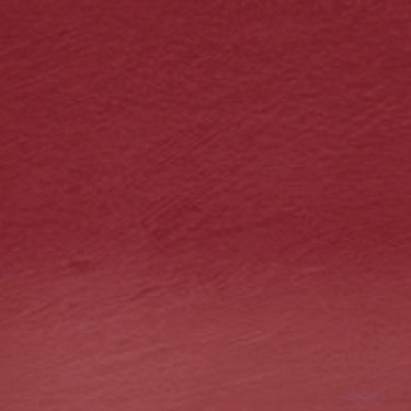 PROCOLOUR COPPER BEECH 